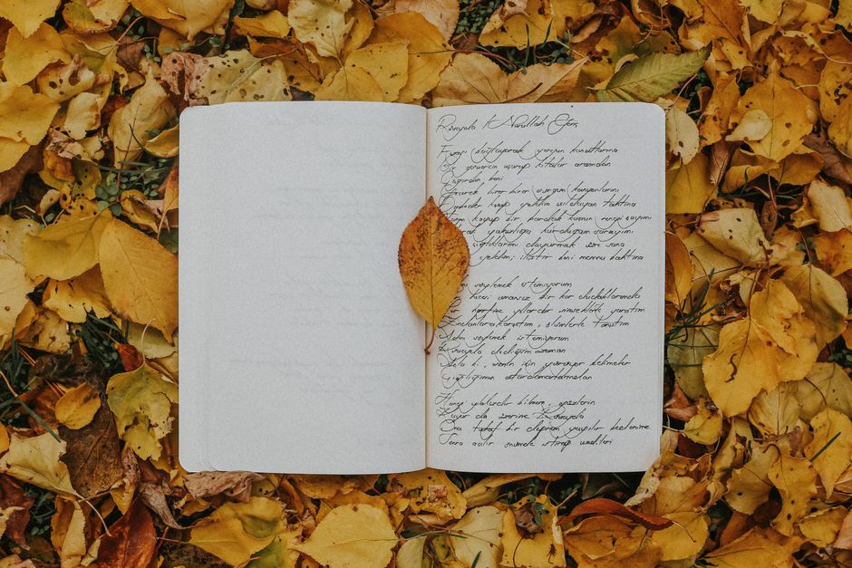 Writing Poetry Without Rhyme: Finding Music in Free Verse